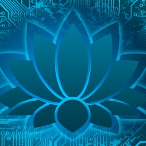 Photo of Blue Lotus Media