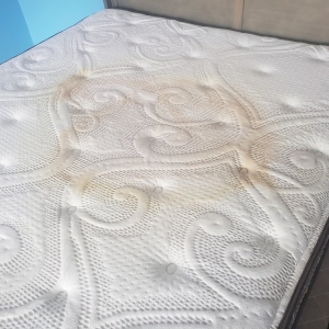 Photo of Top Tier Cleaning