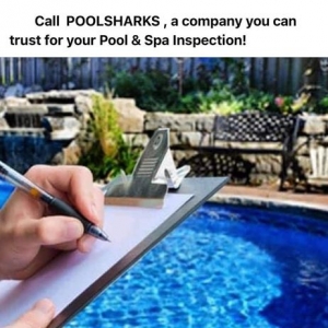 Photo of Pool Sharks