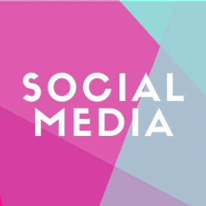 Photo of Bluebonnet Digital Marketing