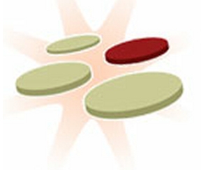 Photo of Web Mobile Strategies