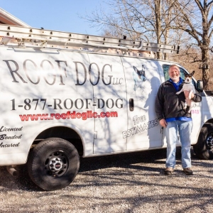 Springfield Roof Dog