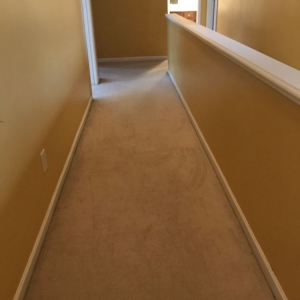 Charlotte TouchPoint Property Management