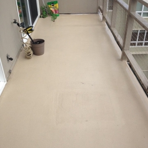 Photo of Puma Power Wash