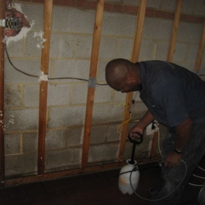 Photo of Absolute Property Solutions