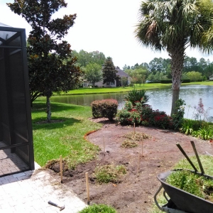 Photo of North Florida Landscape
