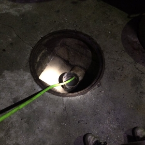 Photo of Plumb Pro