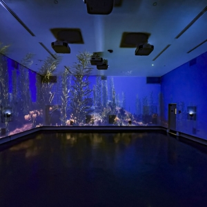 Photo of Nightscape