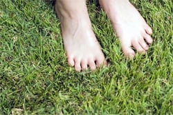 Jacksonville Grace Lawn Service