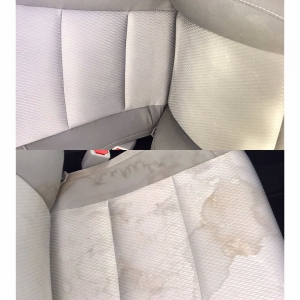 Photo of Spotless Detail