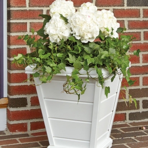 Photo of Walpole Outdoors