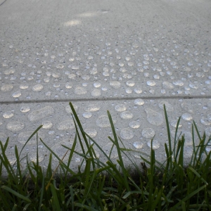 Photo of Sam The Concrete Man - Fort Worth