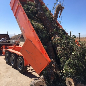 Photo of Alans Hauling & Tractor