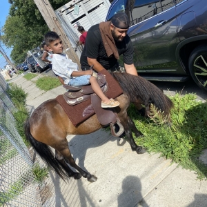 Photo of Pony Express Entertainment