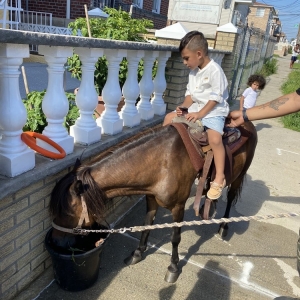 Photo of Pony Express Entertainment