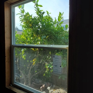 Photo of Window e-Store