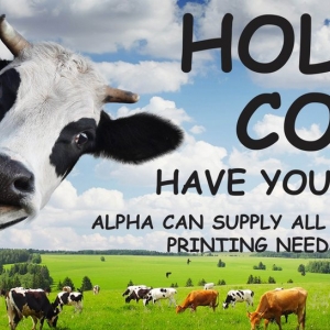 Photo of Alpha Printing & Mailing