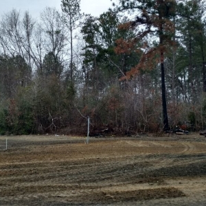 Photo of TnT Demolition and Clearing