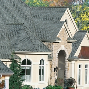 Photo of Maximum Roof Care