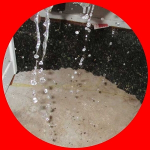 Photo of a Best Water Damage