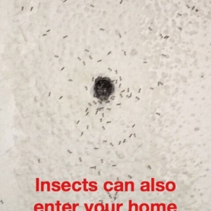 Photo of Mr Sponge Waterproofing