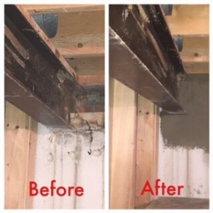 Photo of Mr Sponge Waterproofing
