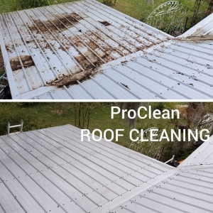 Photo of ProClean Pressure Washing of Royal Oak