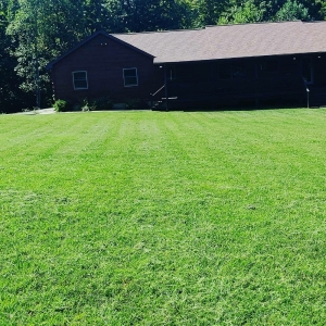 Photo of T&A Home & Lawn