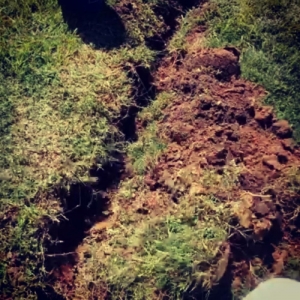 Photo of T&A Home & Lawn