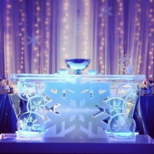 Photo of Full Spectrum Ice Sculptures