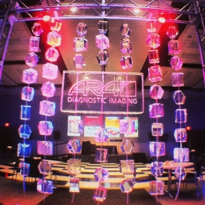 Photo of Full Spectrum Ice Sculptures