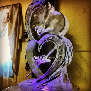 Photo of Full Spectrum Ice Sculptures