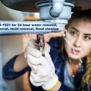Photo of Water Cleanup