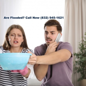 Photo of Water Cleanup