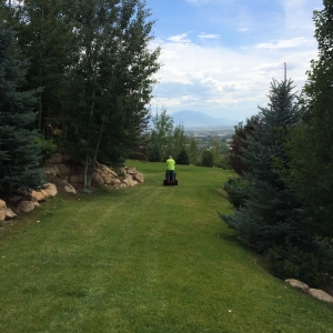Photo of Green Acre Landscape Services