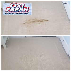 Photo of Oxi Fresh Carpet Cleaning