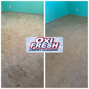 Photo of Oxi Fresh Carpet Cleaning
