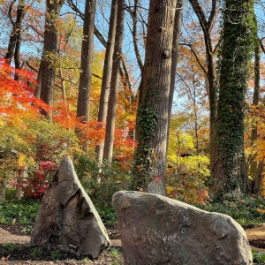 Photo of Native Roots Landscaping