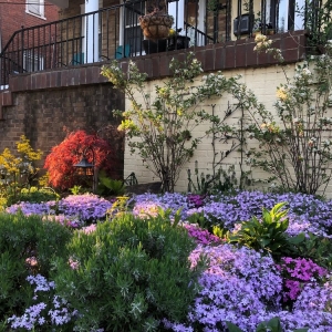 Photo of Native Roots Landscaping