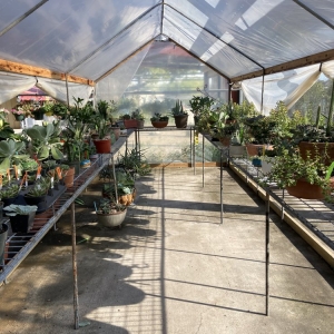Photo of Maldonaldo Landscape & Irrigation