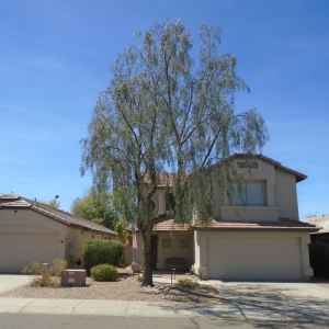 Photo of Lucas Lawn and Yard Care