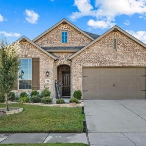McKinney Svetlana Vilig, United Real Estate Realtor