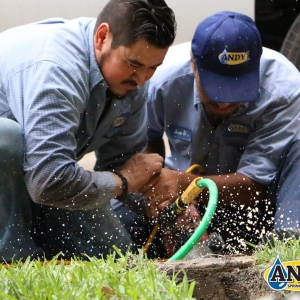 Photo of Andy's Sprinkler, Drainage & Lighting