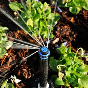 Photo of Andy's Sprinkler, Drainage & Lighting