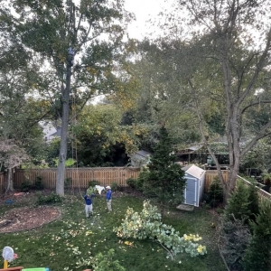 Calverton Torres Landscaping