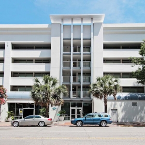 Photo of Palms on Main