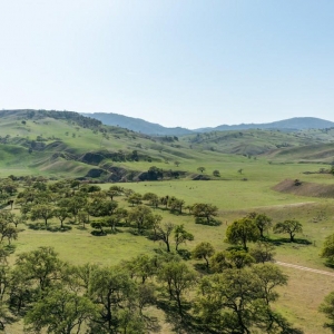 Hollister Brigantino's San Benito Realty
