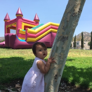 Photo of Fun Bounce