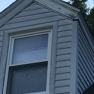 Photo of Sunset Improvement
