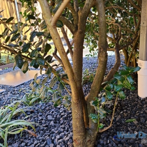 Photo of Water Drainage Innovations